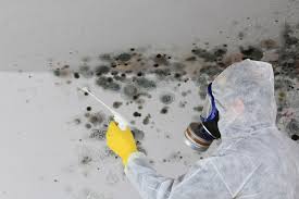 Best Asbestos and Lead Testing During Mold Inspection in USA